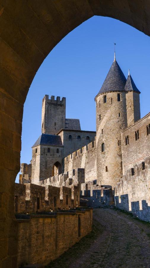 Отель Ibis Carcassonne Est La Cite Экстерьер фото